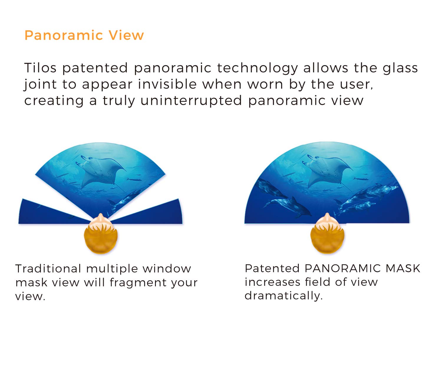 Tilos Panoramic Single Lens Wide View Mask Dry Snorkel Set