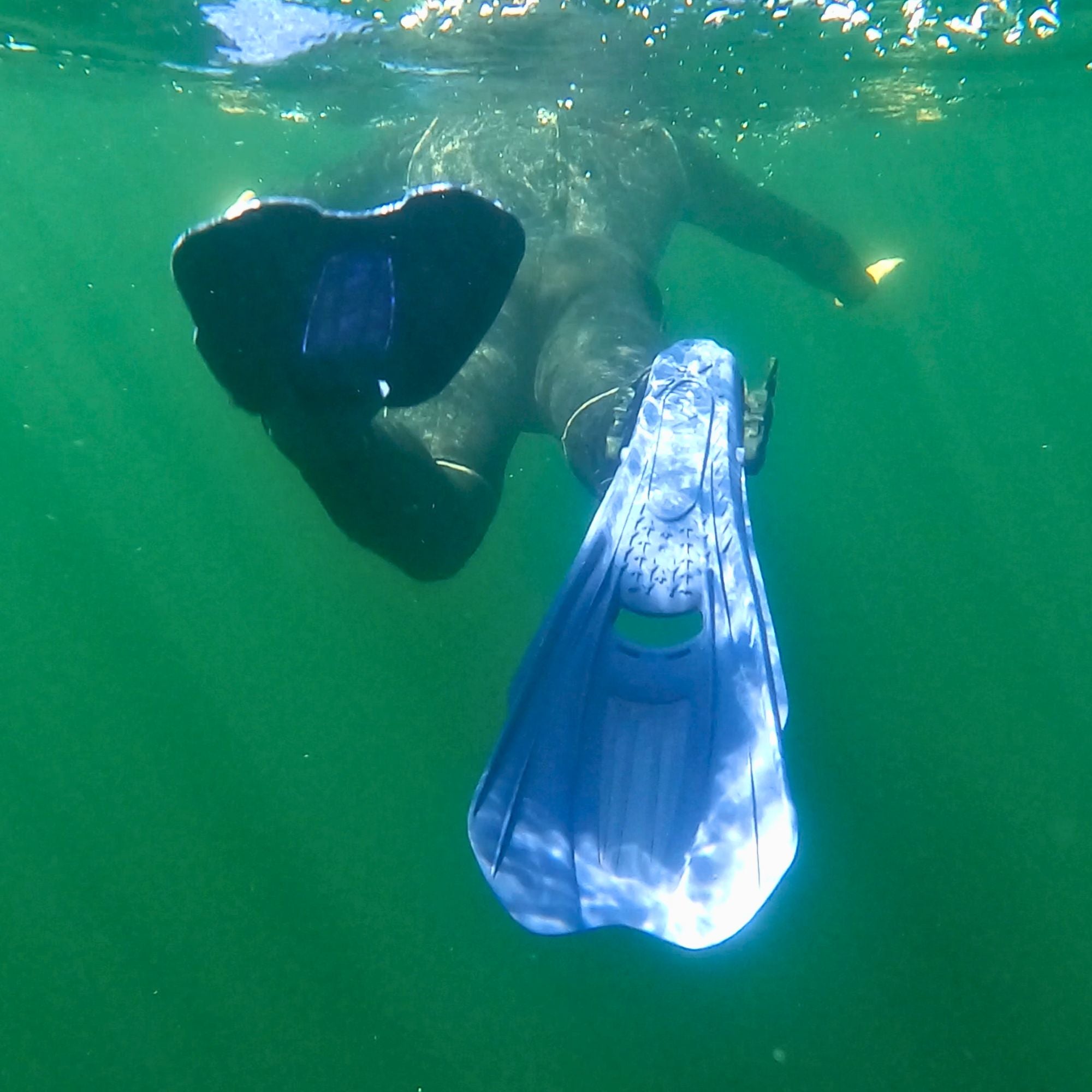 Technix Open Heel Travel Fins: Lightweight Power for Every Dive Adventure