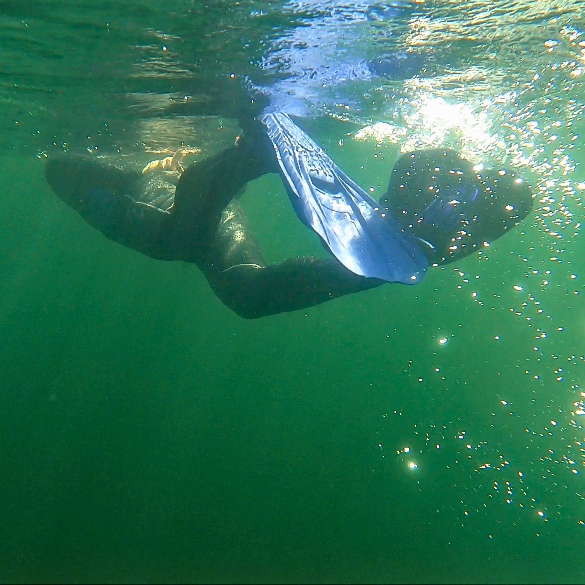 Technix Open Heel Travel Fins: Lightweight Power for Every Dive Adventure