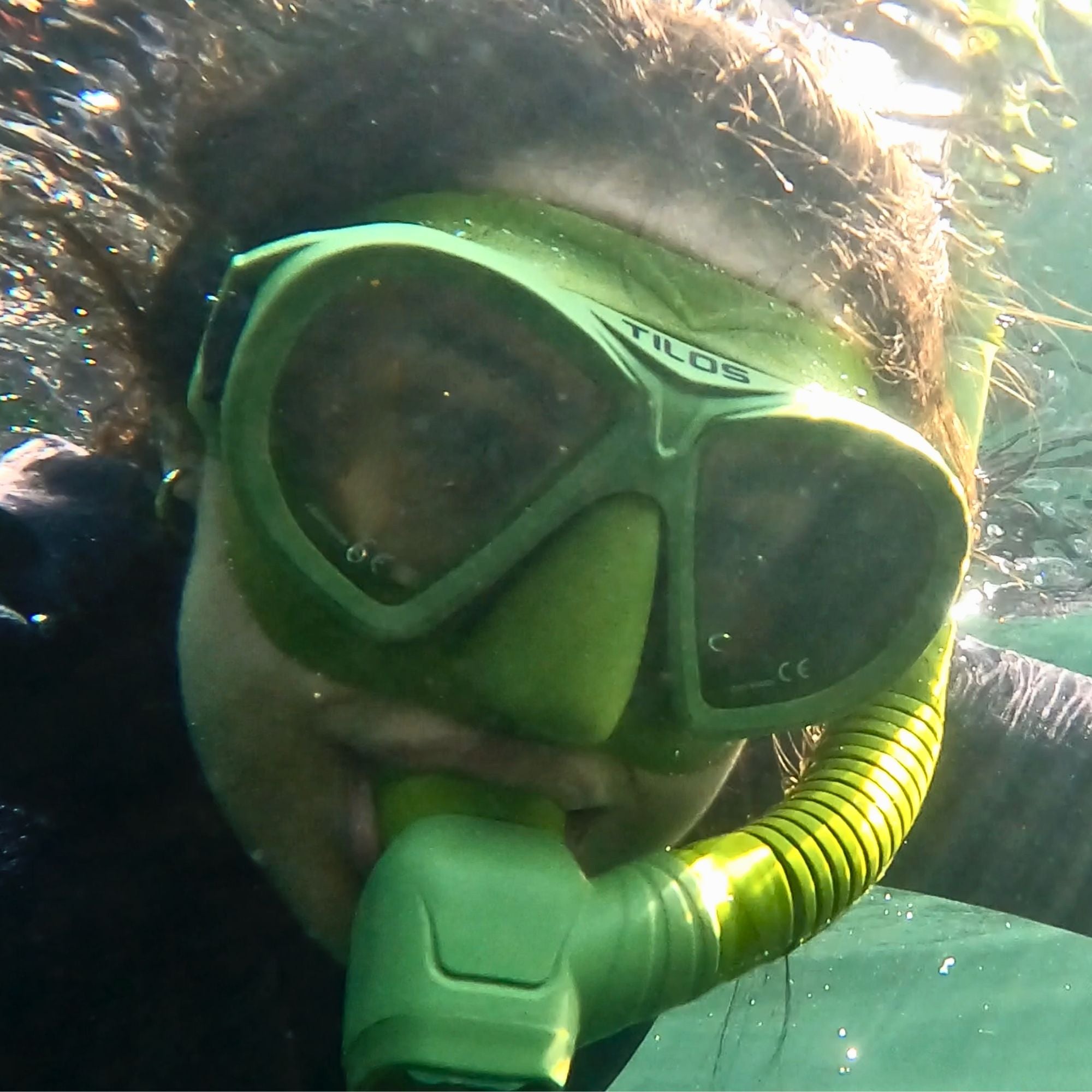 Aquastalk Mask with  Hi-Flow II Semi-Dry Snorkel